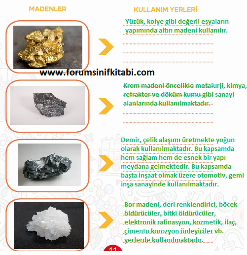 4.Sınıf Fen Bilimleri Meb yayınları Çalışma Kitabı Sayfa 11 Cevapları