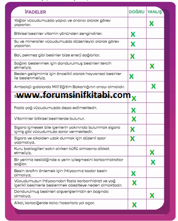 4.Sınıf Fen Bilimleri Meb yayınları Çalışma Kitabı Sayfa 46 Cevapları