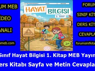 "3. Sınıf Hayat Bilgisi 1. Kitap Cevapları MEB Yayınları"