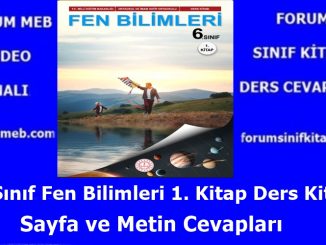 "6. Sınıf Fen Bilimleri 1. Kitap Cevapları MEB Yayınları"
