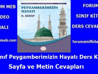 "6. Sınıf Peygamberimizin Hayatı Ders Kitabı Cevapları MEB Yayınları 6. Sınıf Peygamberimizin Hayatı Ders Kitabı Cevapları MEB Yayınları"
