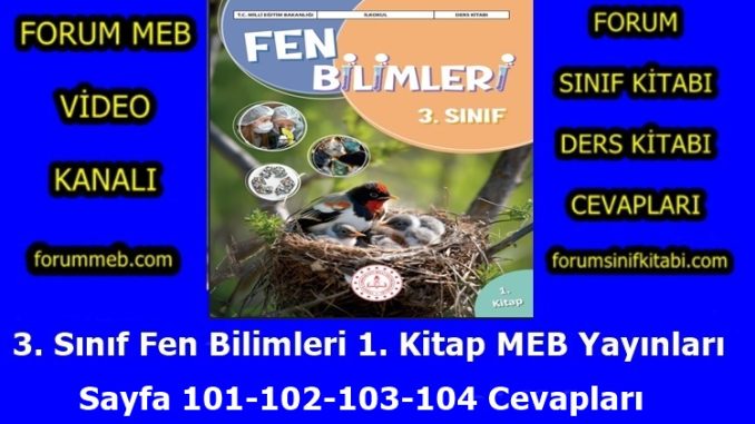 "3. Sınıf Fen Bilimleri 1. Kitap Sayfa 101-102-103-104 Cevapları"