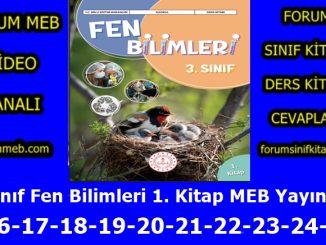 "3. Sınıf Fen Bilimleri 1. Kitap Sayfa 16-17-18-19-20-21-22-23-24-25 Cevapları MEB Yayınları"