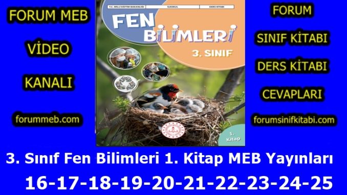 "3. Sınıf Fen Bilimleri 1. Kitap Sayfa 16-17-18-19-20-21-22-23-24-25 Cevapları MEB Yayınları"