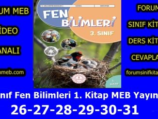 "3. Sınıf Fen Bilimleri 1. Kitap Sayfa 26-27-28-29-30-31 Cevapları MEB Yayınları"