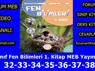 "3. Sınıf Fen Bilimleri 1. Kitap Sayfa 32-33-34-35-36-37-38 Cevapları MEB Yayınları"
