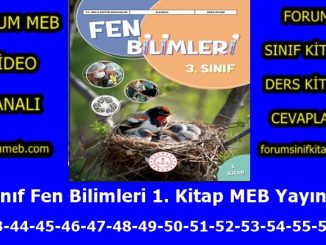 "3. Sınıf Fen Bilimleri 1. Kitap Sayfa 42-43-44-45-46-47-48-49-50-51-52-53-54-55-56-57 Cevapları MEB Yayınları"