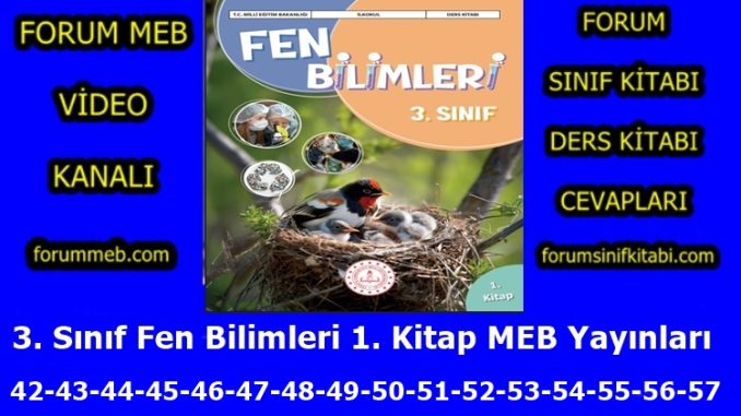 "3. Sınıf Fen Bilimleri 1. Kitap Sayfa 42-43-44-45-46-47-48-49-50-51-52-53-54-55-56-57 Cevapları MEB Yayınları"
