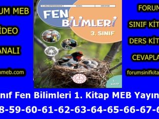 "3. Sınıf Fen Bilimleri 1. Kitap Sayfa 58-59-60-61-62-63-64-65-66-67-68 Cevapları MEB Yayınları"