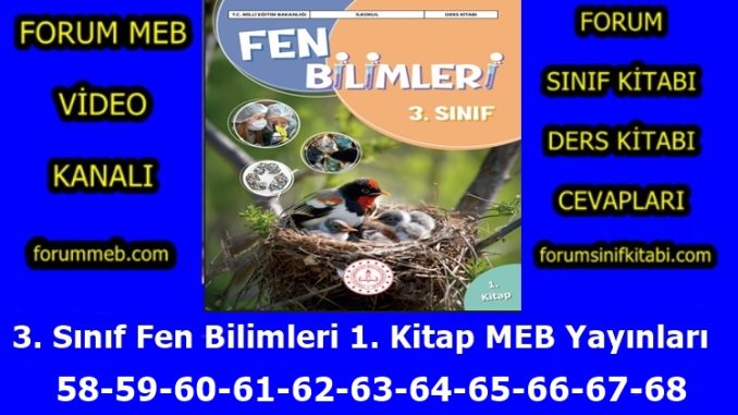 "3. Sınıf Fen Bilimleri 1. Kitap Sayfa 58-59-60-61-62-63-64-65-66-67-68 Cevapları MEB Yayınları"