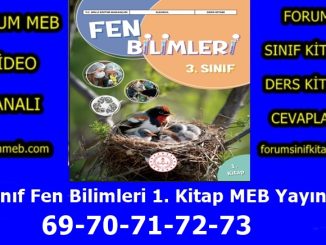 "3. Sınıf Fen Bilimleri 1. Kitap Sayfa 69-70-71-72-73 Cevapları MEB Yayınları"