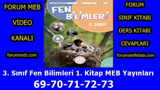 "3. Sınıf Fen Bilimleri 1. Kitap Sayfa 69-70-71-72-73 Cevapları MEB Yayınları"