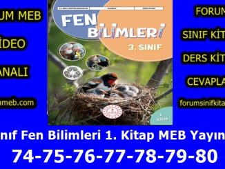 "3. Sınıf Fen Bilimleri 1. Kitap Sayfa 74-75-76-77-78-79-80 Cevapları MEB Yayınları"