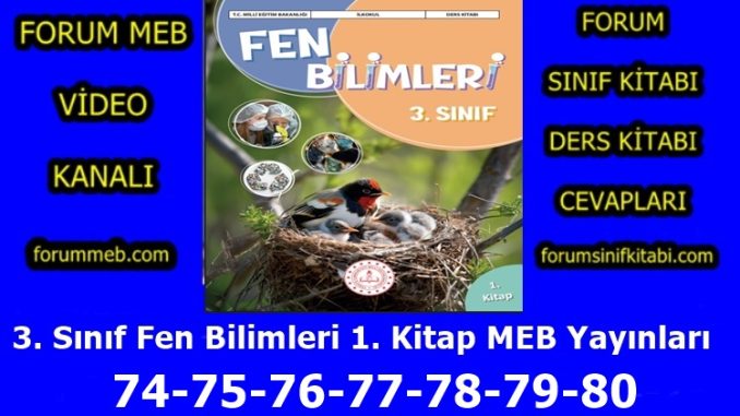 "3. Sınıf Fen Bilimleri 1. Kitap Sayfa 74-75-76-77-78-79-80 Cevapları MEB Yayınları"