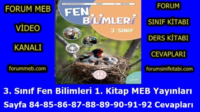 "3. Sınıf Fen Bilimleri 1. Kitap Sayfa 84-85-86-87-88-89-90-91-92 Cevapları"