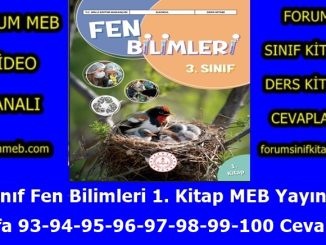 "3. Sınıf Fen Bilimleri 1. Kitap Sayfa 93-94-95-96-97-98-99-100 Cevapları"