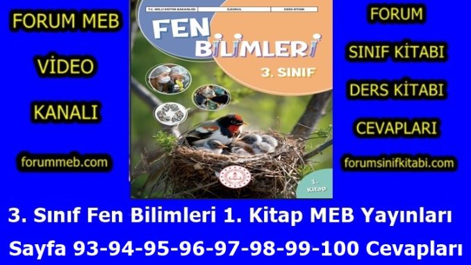 "3. Sınıf Fen Bilimleri 1. Kitap Sayfa 93-94-95-96-97-98-99-100 Cevapları"