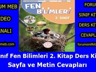 "3. Sınıf Fen Bilimleri 2. Kitap Cevapları MEB Yayınları"