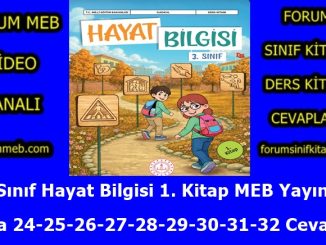 "3. Sınıf Hayat Bilgisi 1. Kitap Sayfa 24-25-26-27-28-29-30-31-32 Cevapları MEB Yayınları"