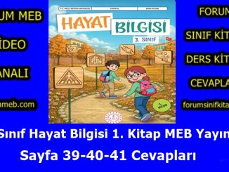 "3. Sınıf Hayat Bilgisi 1. Kitap Sayfa 39-40-41 Cevapları MEB Yayınları"