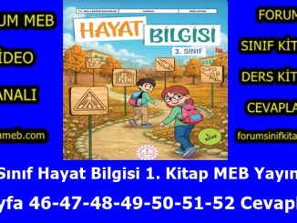 "3. Sınıf Hayat Bilgisi 1. Kitap Sayfa 46-47-48-49-50-51-52 Cevapları MEB Yayınları"