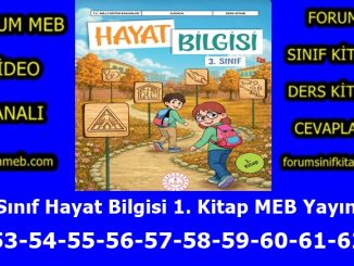 "3. Sınıf Hayat Bilgisi 1. Kitap Sayfa 53-54-55-56-57-58-59-60-61-62 Cevapları MEB Yayınları"