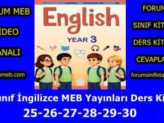 "3. Sınıf İngilizce Kitabı Sayfa 25-26-27-28-29-30 Cevapları MEB Yayınları"