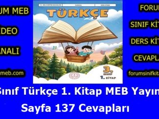 "3. Sınıf Türkçe 1. Kitap Sayfa 137 Cevapları"