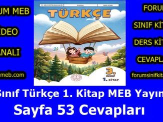 "3. Sınıf Türkçe 1. Kitap Sayfa 53 Cevapları MEB Yayınları"