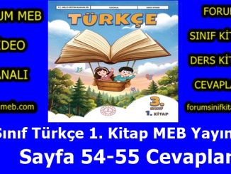 "3. Sınıf Türkçe 1. Kitap Sayfa 54-55 Cevapları MEB Yayınları"