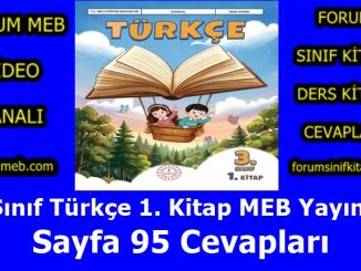 "3. Sınıf Türkçe 1. Kitap Sayfa 95 Cevapları MEB Yayınları"