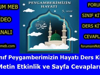 "5. Sınıf Peygamberimizin Hayatı Kitabı Cevapları MEB Yayınları"