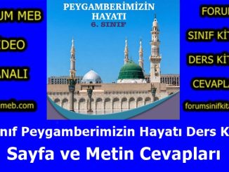 "6. Sınıf Peygamberimizin Hayatı Kitabı Cevapları MEB Yayınları"