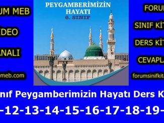 "6. Sınıf Peygamberimizin Hayatı Kitabı Sayfa 11-12-13-14-15-16-17-18-19-20 Cevapları"