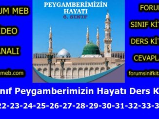 "6. Sınıf Peygamberimizin Hayatı Kitabı Sayfa 21-22-23-24-25-26-27-28-29-30-31-32-33-34-35 Cevapları"