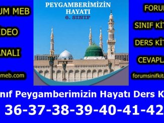 "6. Sınıf Peygamberimizin Hayatı Kitabı Sayfa 36-37-38-39-40-41-42 Cevapları"