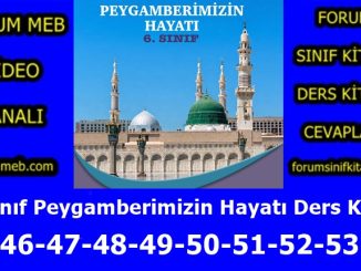 "6. Sınıf Peygamberimizin Hayatı Kitabı Sayfa 45-46-47-48-49-50-51-52-53-54 Cevapları"