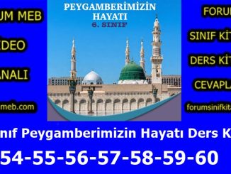 "6. Sınıf Peygamberimizin Hayatı Kitabı Sayfa 54-55-56-57-58-59-60 Cevapları"