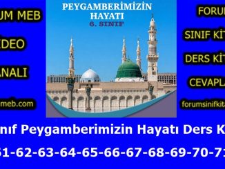"6. Sınıf Peygamberimizin Hayatı Kitabı Sayfa 60-61-62-63-64-65-66-67-68-69-70-71-72 Cevapları"