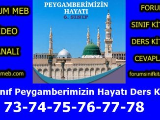"6. Sınıf Peygamberimizin Hayatı Kitabı Sayfa 73-74-75-76-77-78 Cevapları"